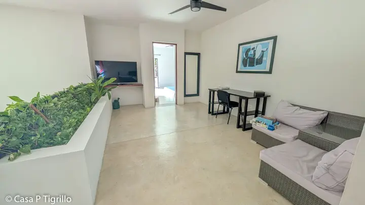 Casa tigrillo — foto 20
