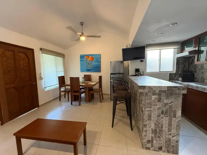 Departamento en Renta en Zona Hotelera — foto 9