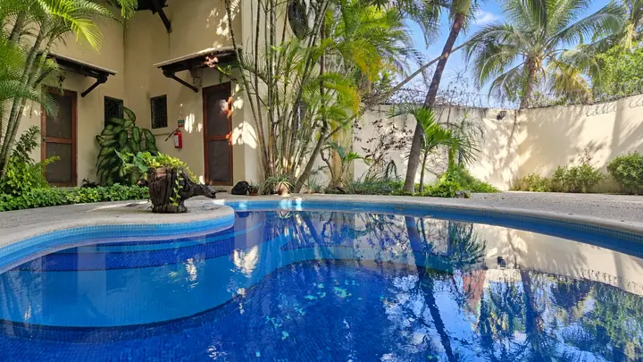 Departamento loft en Renta en Playa del Carmen en Brujas — foto 6