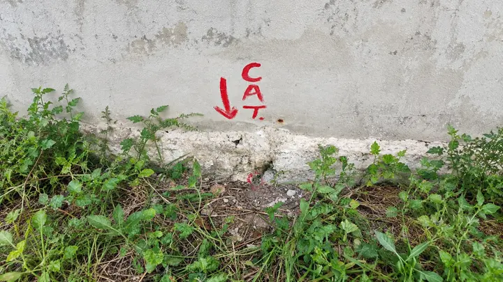Terreno en Venta en Cancun en Alamos Prolongacion La Luna — foto 5