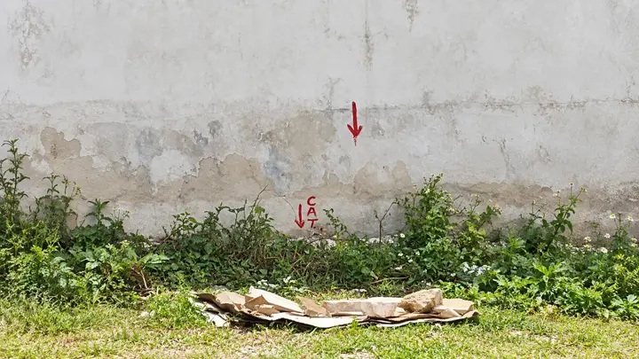 Terreno en Venta en Cancun en Alamos Prolongacion La Luna — foto 7